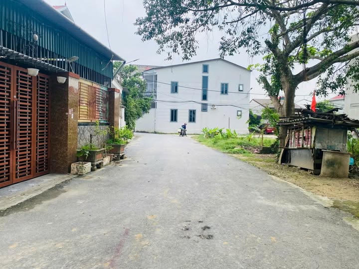 Bán đất Nghi Phú 3 lô đẹp như mơ, giá hời như mơ