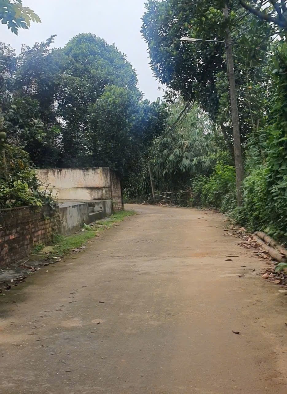 Đất nền 114.5m2 mặt tiền 9m tại khu 5 Vân Phú, Việt Trì - Cơ hội đầu tư hấp dẫn