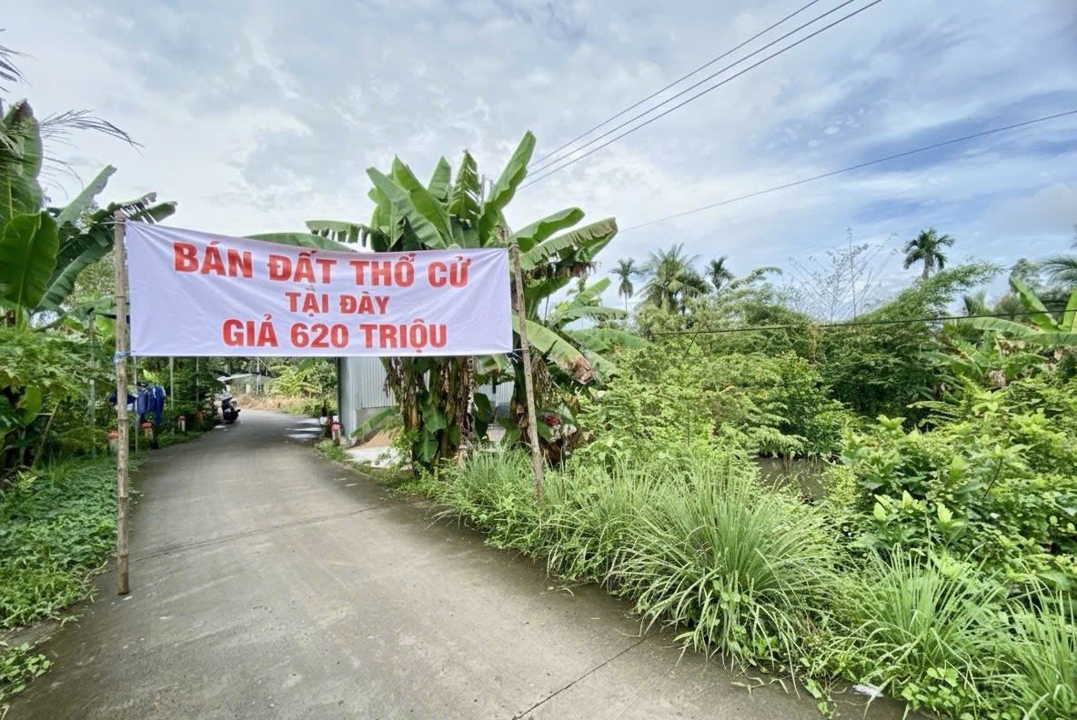 Đất nền 96.8m² thổ cư 100% tại Ô Môn, Cần Thơ - Giá chỉ 620 triệu