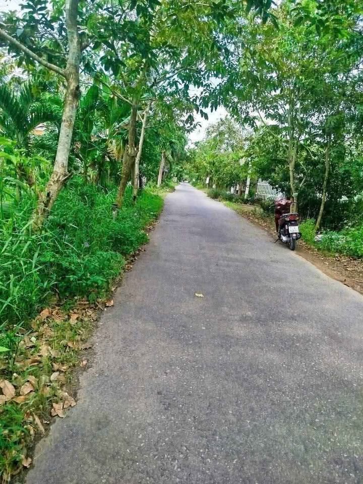Đất Bến Tre - Sát lộ nhựa, nở hậu, giá hời, mua nhanh kẻo lỡ