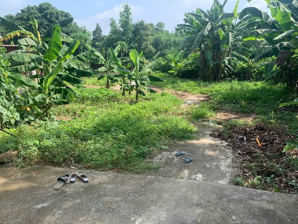 Đất vàng thôn Tân Xã, cạnh Đại học FPT - Cơ hội đầu tư sinh lời