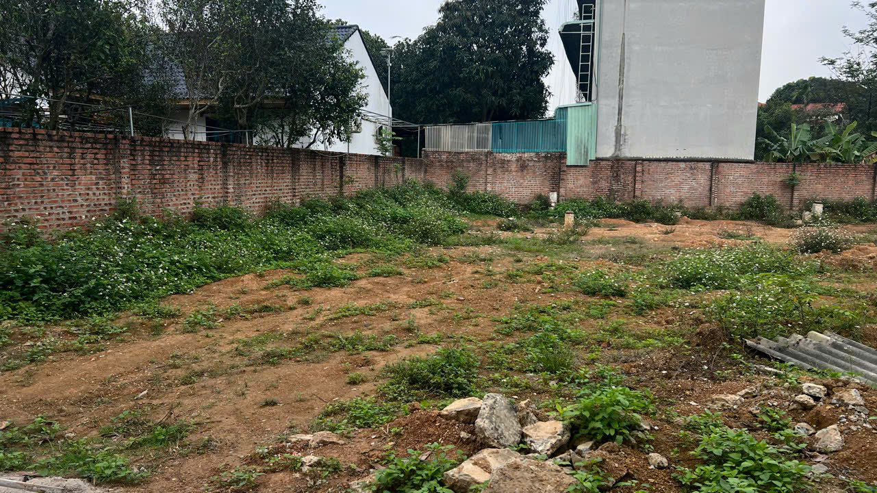 Đất vàng Kim Bông - Sổ đỏ chính chủ - Tiềm năng X5