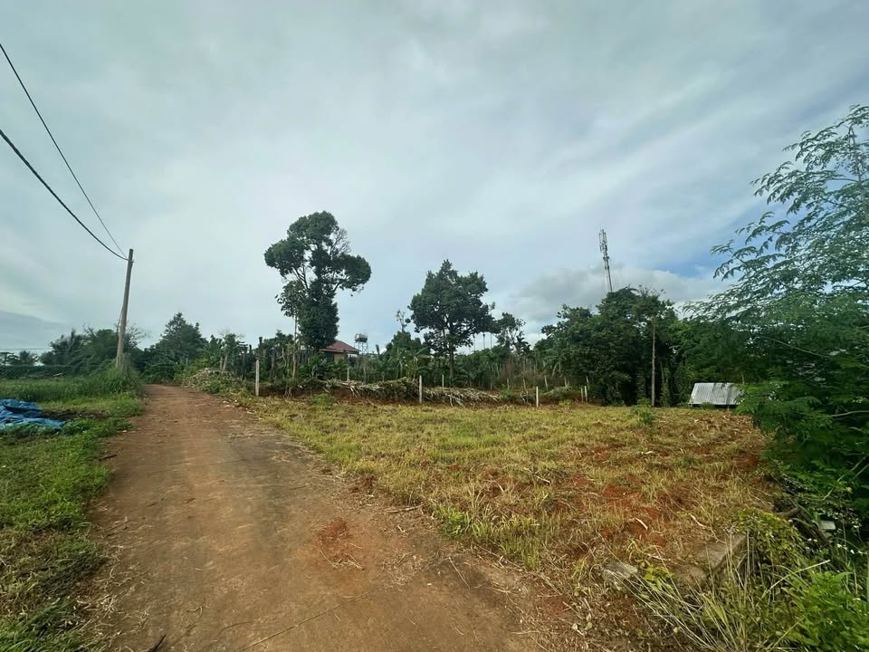 Siêu phẩm đất nền cực hiếm, 2 lô liền kề 300m2 tại Buôn Ma Thuột - Giá hời