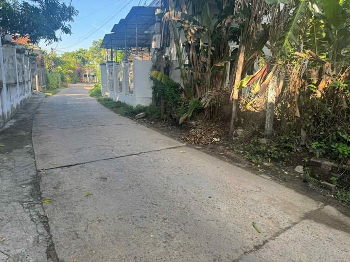 Nhà vườn 311m2 đất full thổ, hướng Đông Bắc, giá chỉ 1,2 tỷ, cơ hội có một không hai