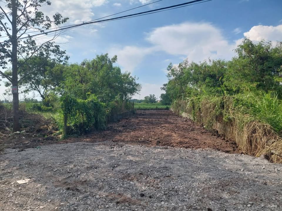 Đất vườn xịn xò 459m2, giá 3 tỷ, Hóc Môn