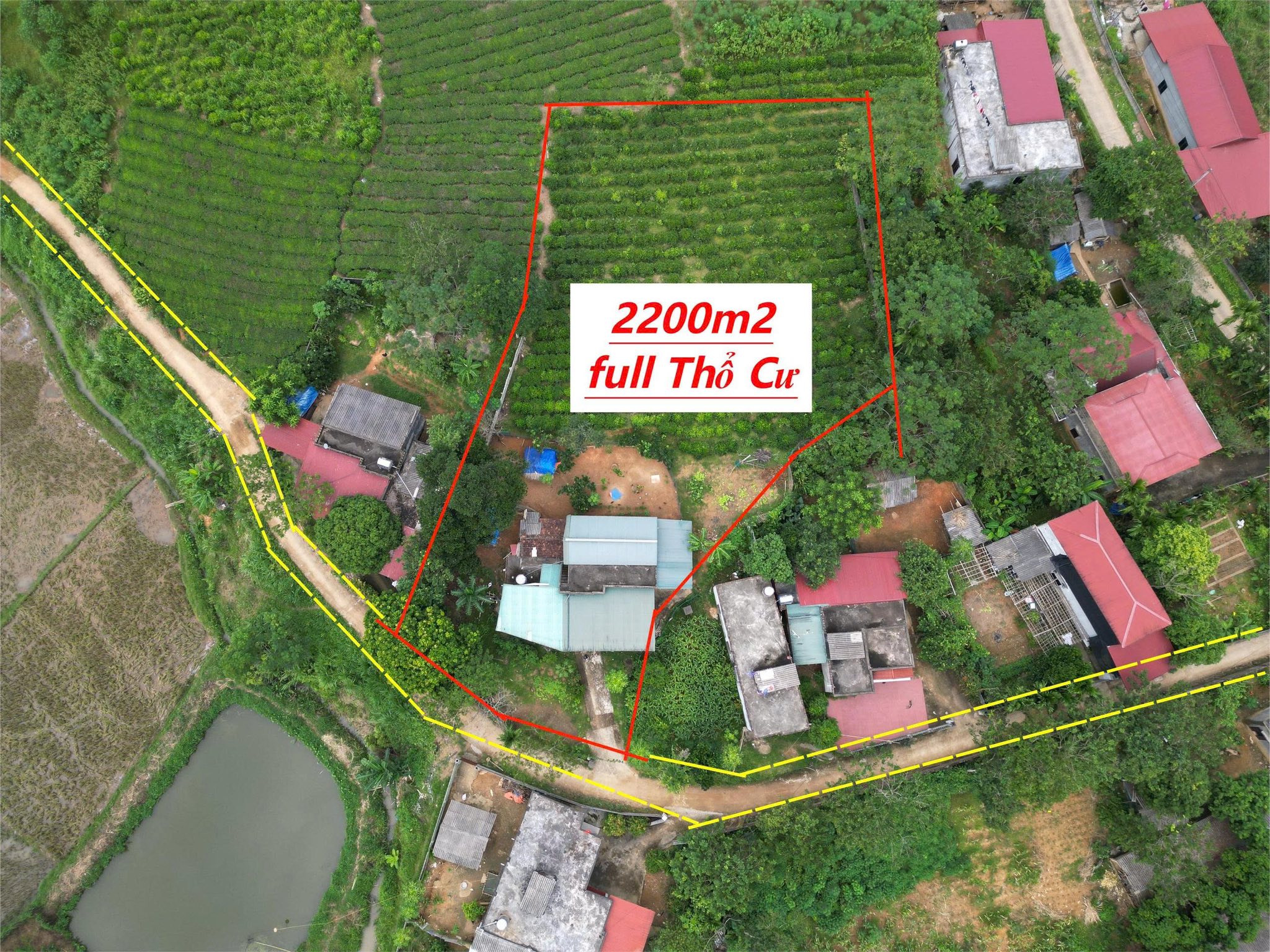 Bán đất full thổ cư 2270m² có nhà cấp 4, view đồi chè Thanh Sơn, Phú Thọ - 1.8 tỷ