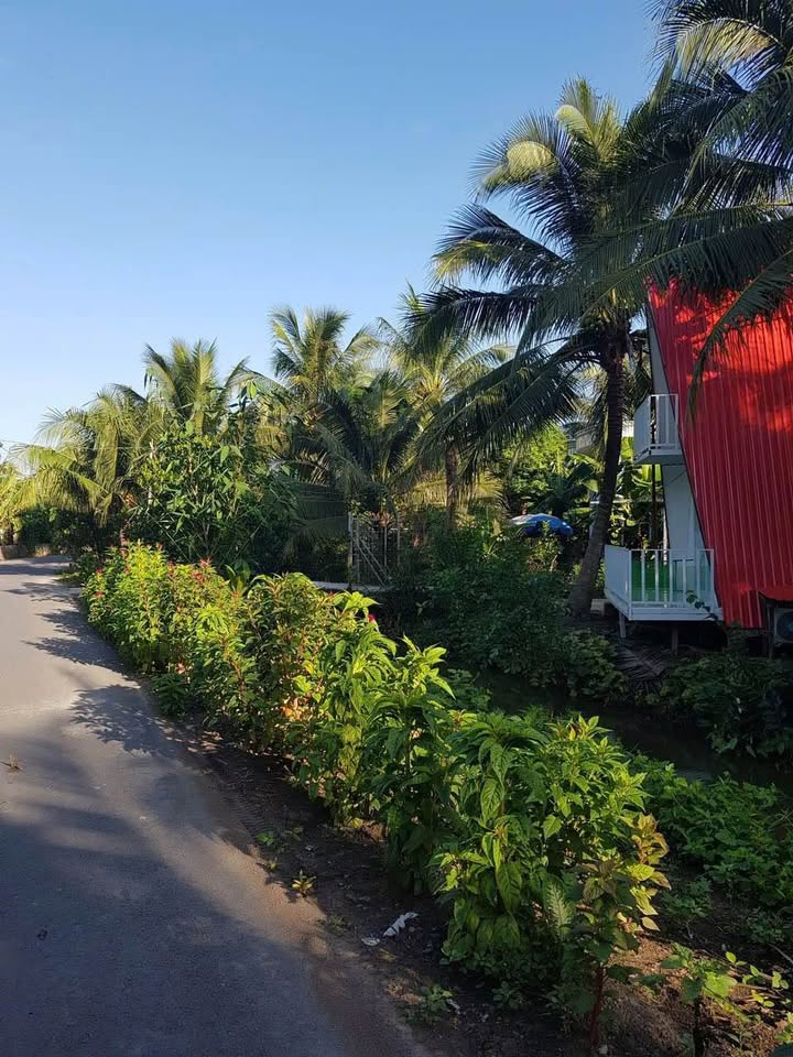 Đất view kênh Đìa Lá, Tiền Giang, 961m² đất vườn, sổ hồng riêng, giá 6.5 tỷ