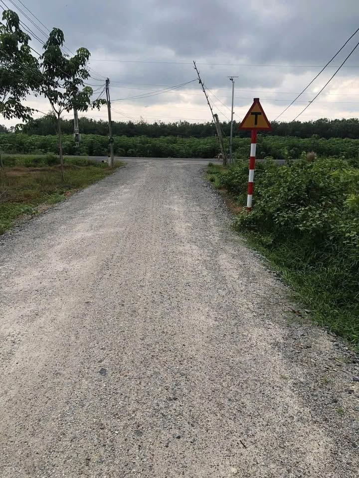 Đất nền 5x30 sổ sẵn, giá rẻ bất ngờ chỉ 265 triệu/lô tại Suối Đá, Dương Minh Châu