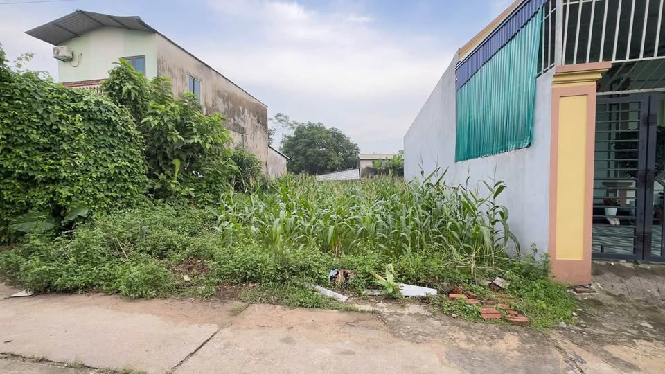 Đất Tích Lương view hồ, full ODT, giá yêu thương