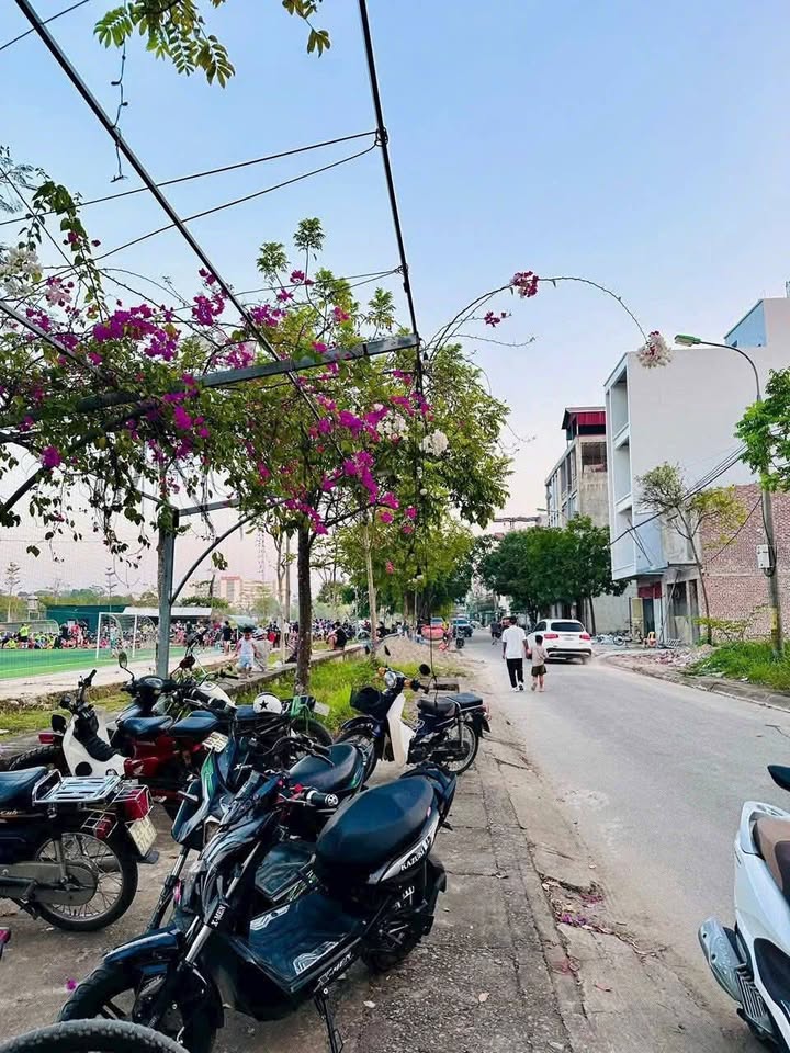 Bán đất mặt tiền 5m tại vườn hoa, khu TDC Trung Hưng, Sơn Tây, Hà Nội