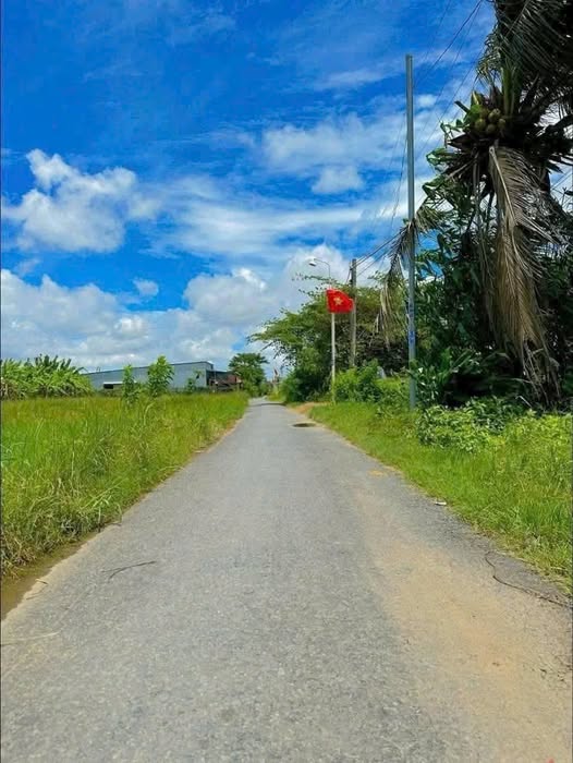 Lạc bước về miền quê yên ả, nơi có mảnh đất vàng tại ấp Bờ Kinh