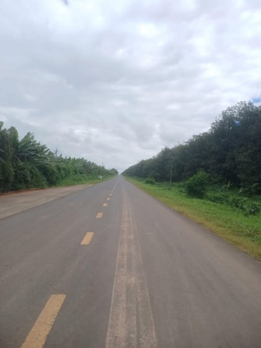 Bán đất 1.435m2 mặt tiền đường nhựa 73m tại Ea Nuôl, Buôn Đôn, Đắk Lắk