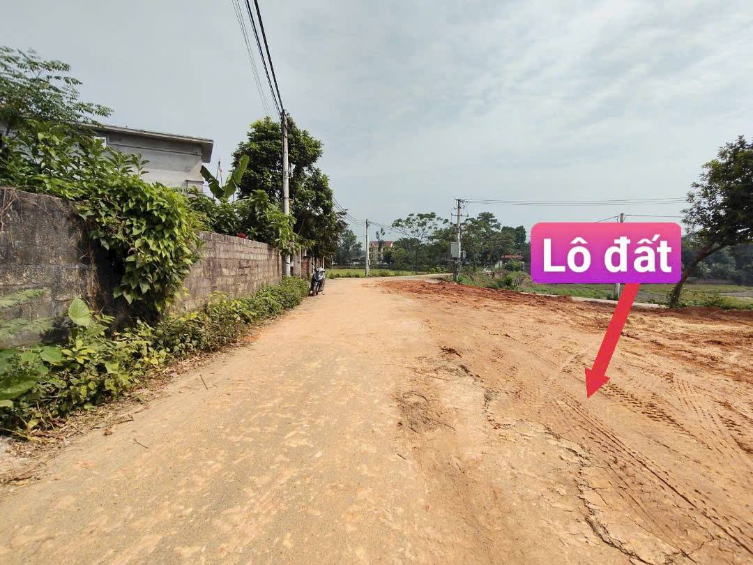 Bán đất F0 Tam Dương, Vĩnh Phúc - Đường nhựa 2 xe tránh, 500m tiện ích