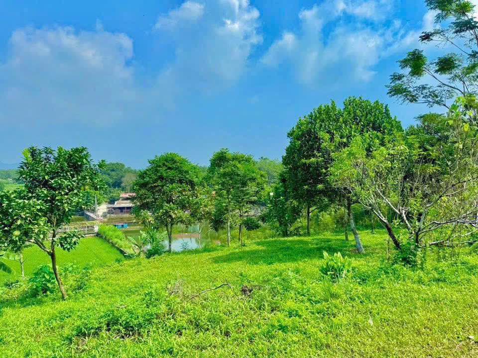 Mảnh đất 1000m2 mặt tiền rộng tại Đồng Quang, Thái Nguyên - Cơ hội đầu tư sinh lời