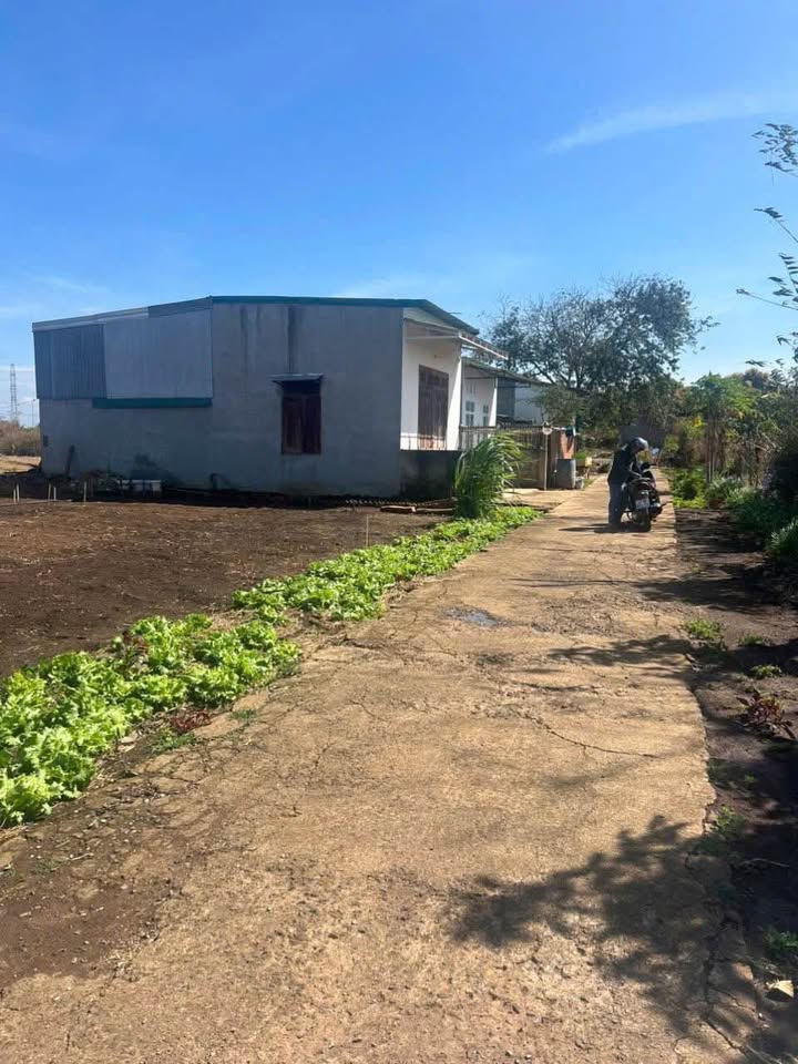 Bán gấp 3 lô liền kề Hòa Xuân, giá sập sàn, đầu tư sinh lời ngay