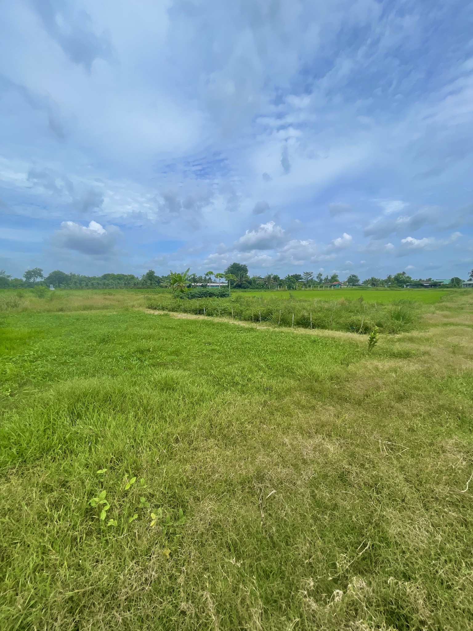 Đất nền view kênh cực thoáng, 250 triệu sở hữu ngay 160m² tại Tiền Giang