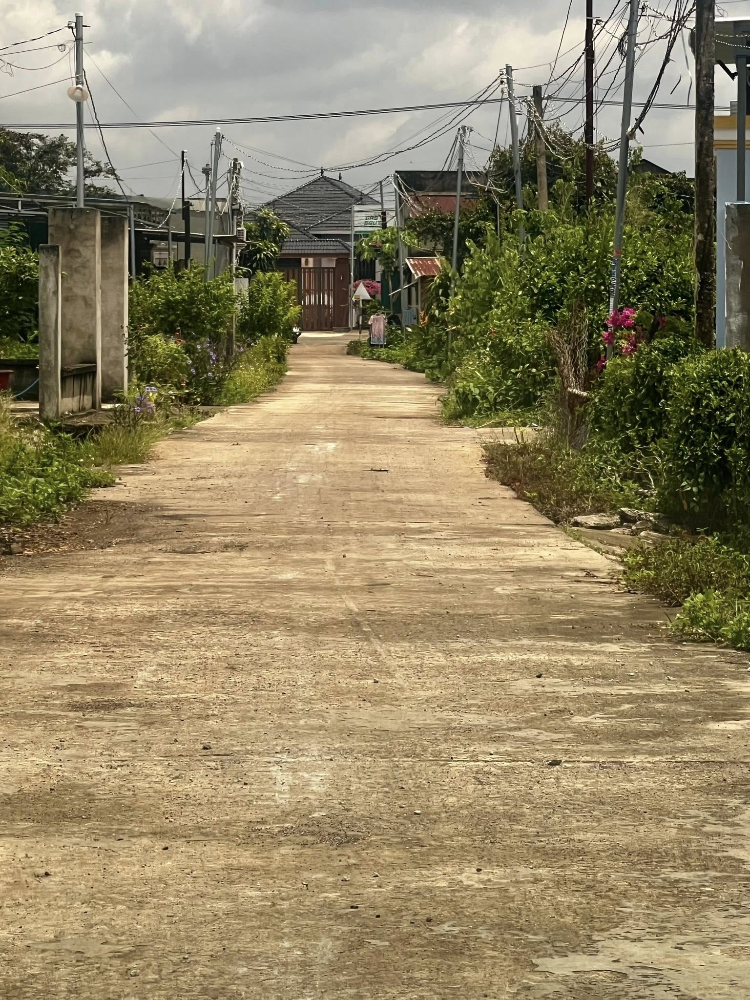 Mảnh đất Xuân Đông, Cẩm Mỹ - An cư lạc nghiệp, đầu tư sinh lời