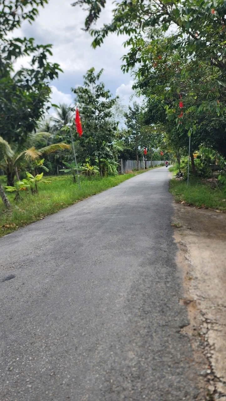 Chính chủ gửi bán lô đất vườn dừa xanh mướt, diện tích 2 công 1