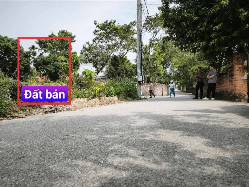 Bán đất 120m² thôn Quẵng, Tam Quan, Tam Đảo - Vĩnh Phúc, đường ô tô tránh