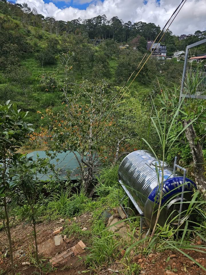 Bán lô đất diện tích 500m2 tại Khe Sành, phường 10, Đà Lạt