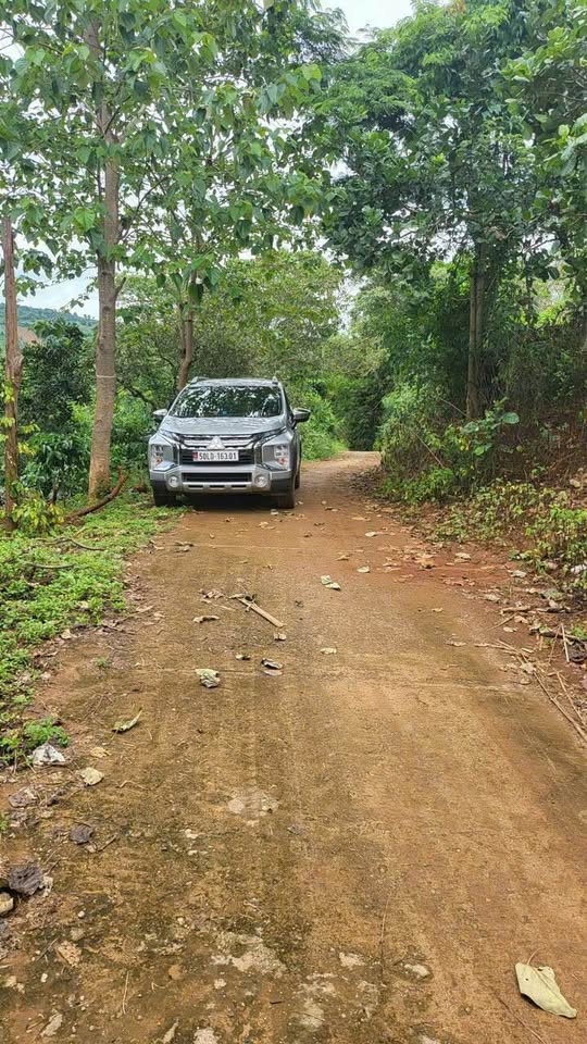 Đất vàng Krông Nô 1000m2 sổ sẵn, chỉ 160 triệu sở hữu ngay