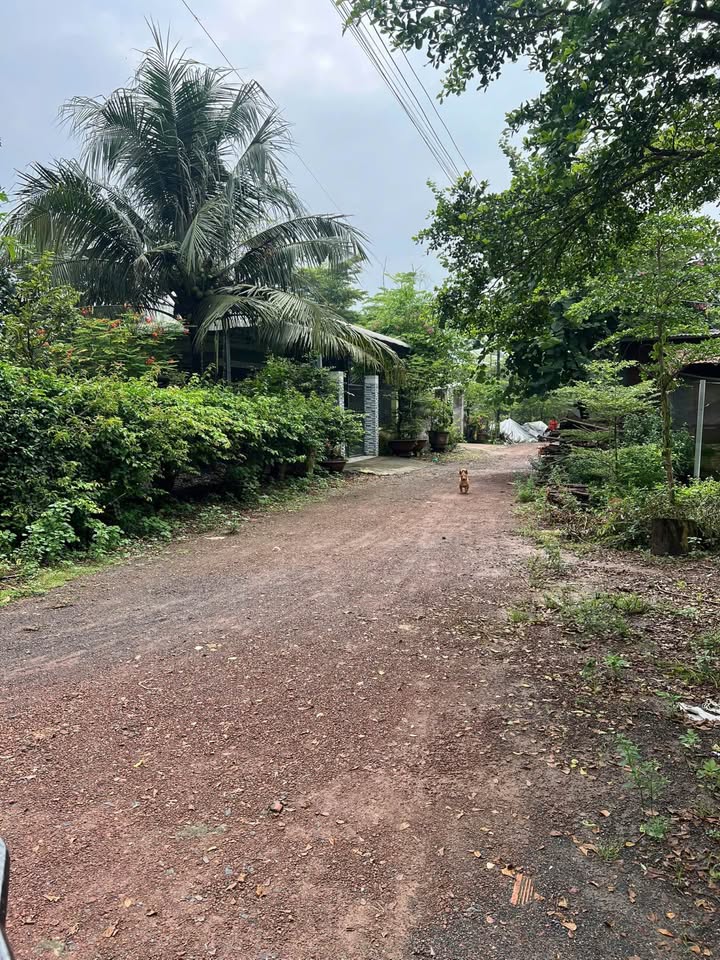 Bán 1.3 sào đất vườn Giang Điền, Đồng Nai - Giá tốt