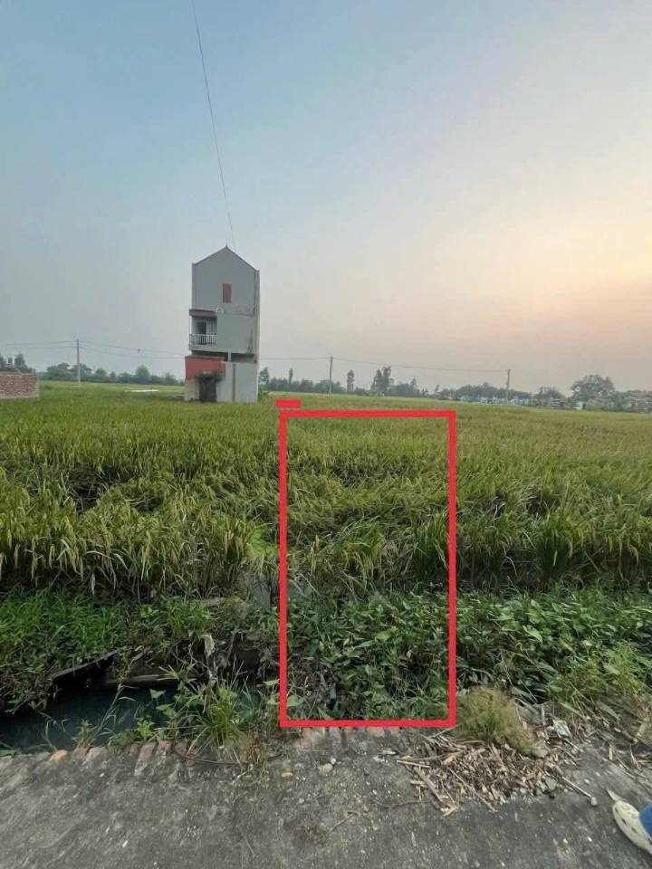 Bán đất Thuận Thành, Bắc Ninh, 90m2, đường rộng, thông thoáng