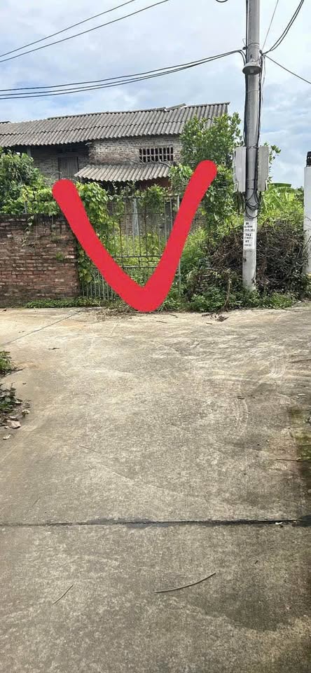 Đất nền vuông vắn, ô tô vào tận nơi tại Cổ Thiết, Gia Bình, Bắc Ninh - Giá 800 triệu