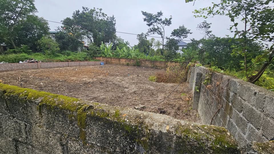 Đất xịn Bình Xuyên, sổ vuông vắn, giá iu thươn