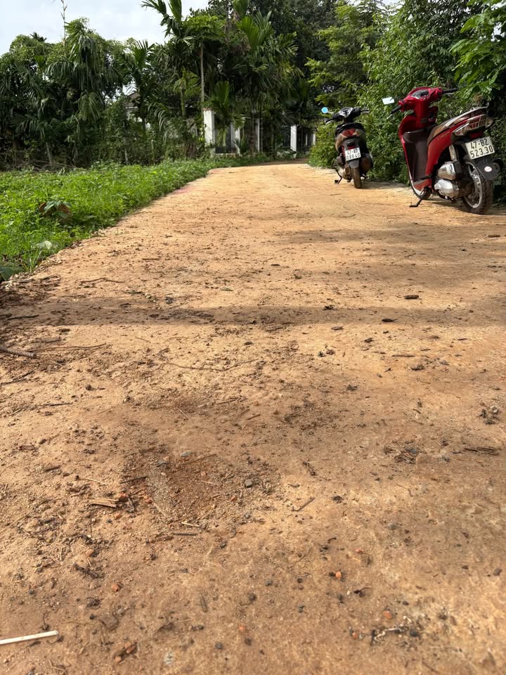 Đất vàng Ea Kao, gần chợ, giá hời chỉ 1.129 tỷ