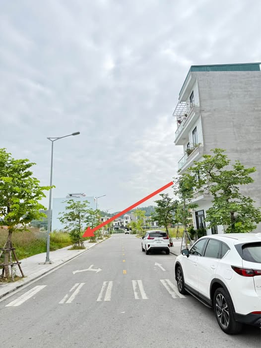 Lướt sóng Lideco cơ hội đầu tư đất nền Hạ Long giá sập sàn