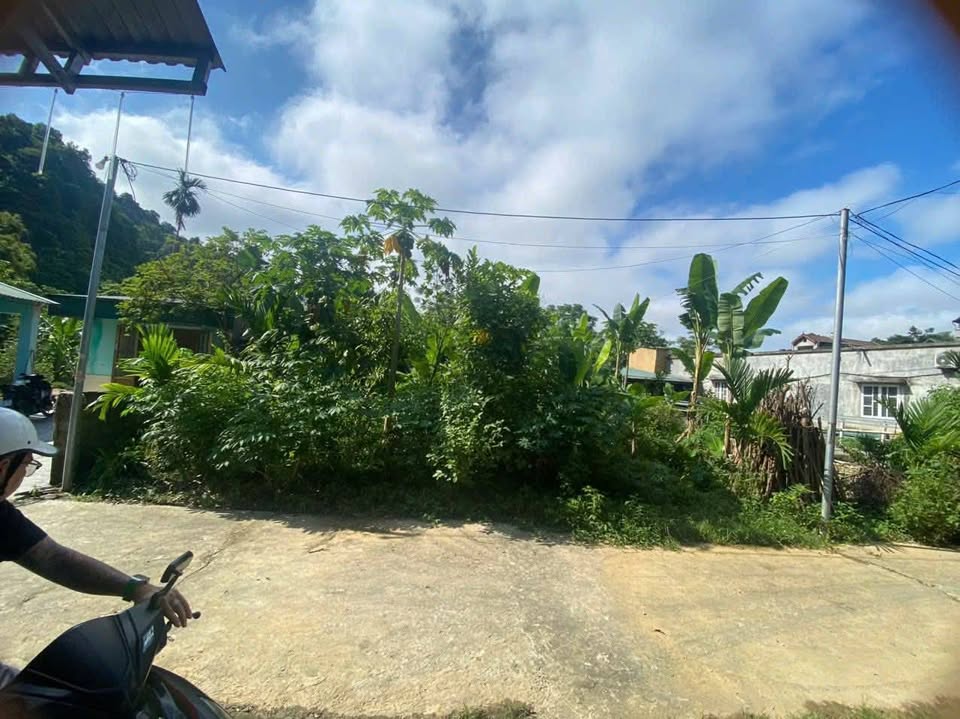 Đất An Tường, Tuyên Quang 313m2, mặt tiền 10m, giá hời