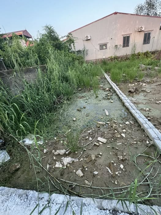 Đất Kim Đường, Ứng Hòa - Vị trí đắc địa, nở hậu, đầu tư sinh lời