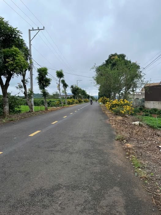 Bán gấp đất mặt tiền đường nhựa Tân Thành, Lâm Đồng - Giá 1.3 tỷ