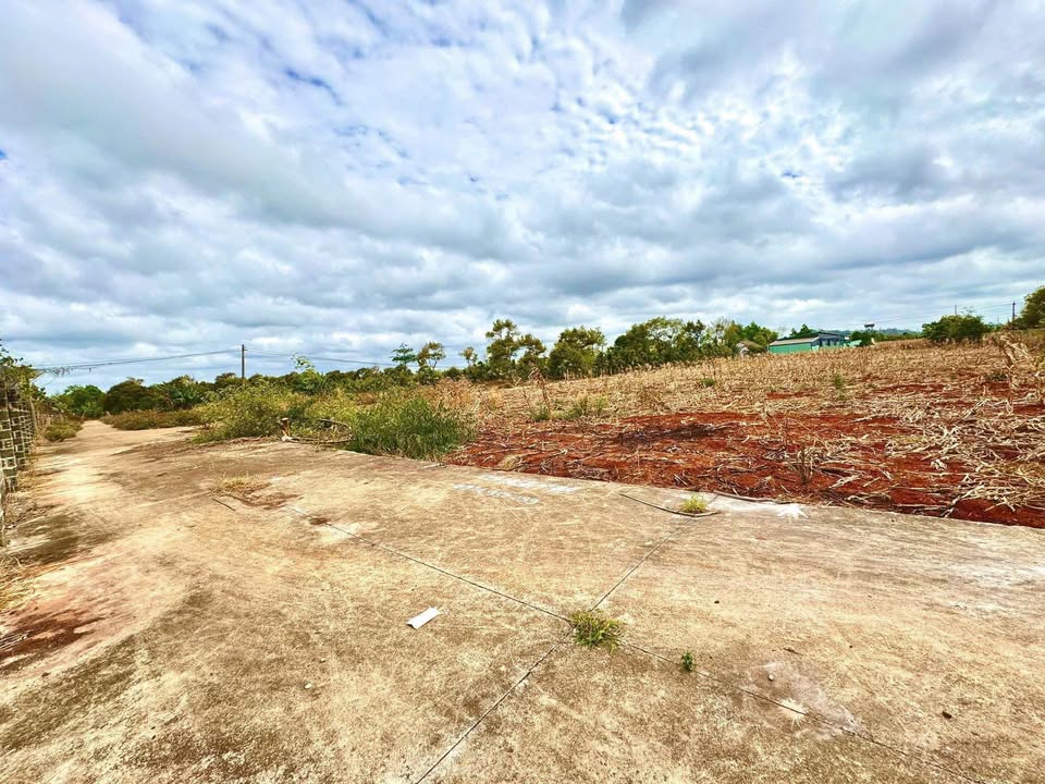 Đất Cư Suê - 5x28m - Giá hời 390 triệu, đường thông thoáng