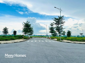 Đất vàng Lý Nhân - Đầu tư sinh lời đỉnh cao, giá chỉ từ 1.9 tỷ