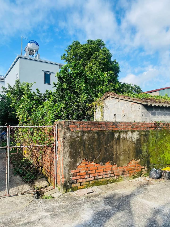 Góc Thái Bình - Lô đất 65m² mặt tiền 4.5m, ô tô tránh, giá nhỉnh 9xx triệu