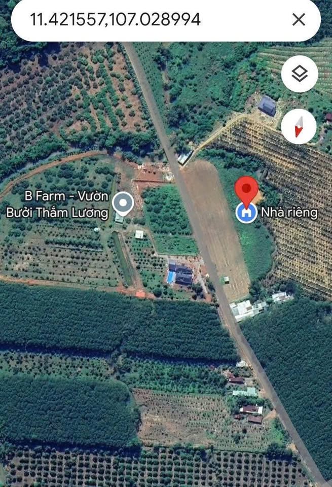 Đất vàng Tân Phước - Mặt tiền đường nhựa rộng, suối bao quanh