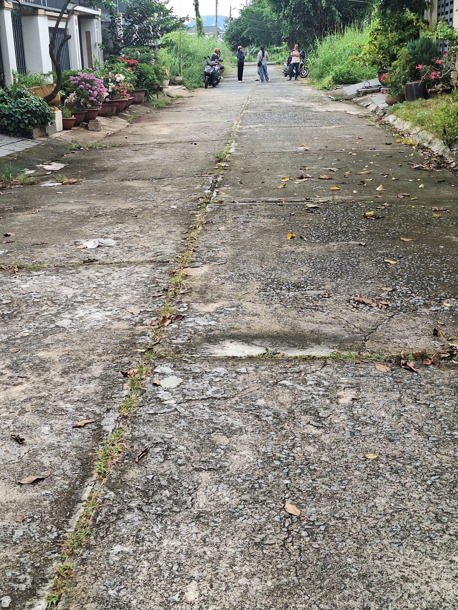 Đất vàng Long Điền - Sổ hồng riêng, giá hời 1.52 tỷ