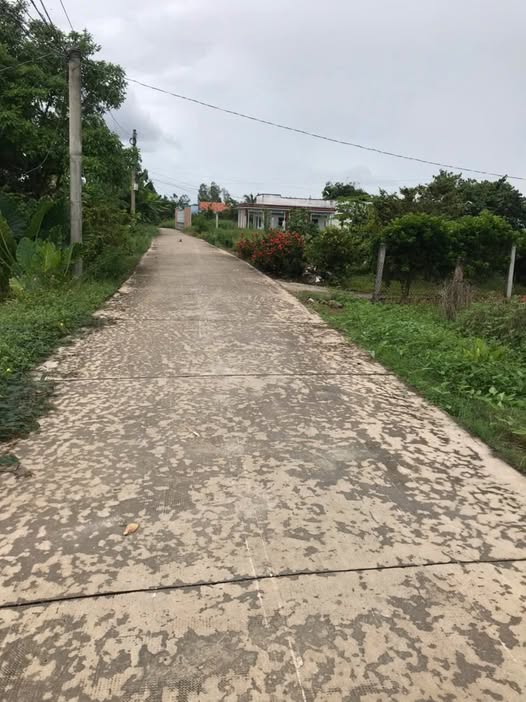 Bán đất thổ 325m2 mặt tiền 7.8m, ấp Nam, Đông Thạnh, Cần Giuộc, Long An