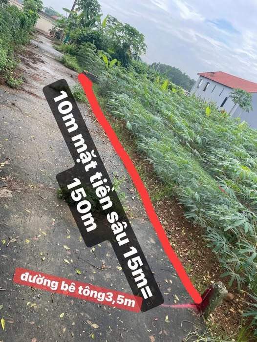 Bán đất 150m2 mặt tiền 10m, gần Đại học Hóa Chất, Tiên Kiên, Phú Thọ