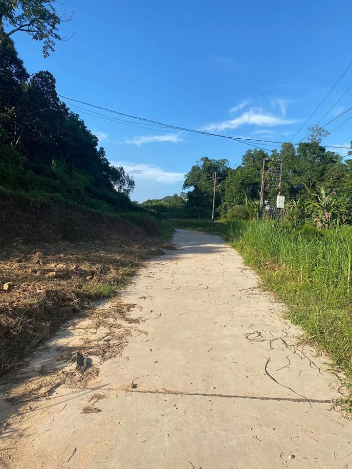 Đất vàng Bắc Sơn - 100m2 thổ cư, chỉ hơn 600 triệu, gần chợ, trường học