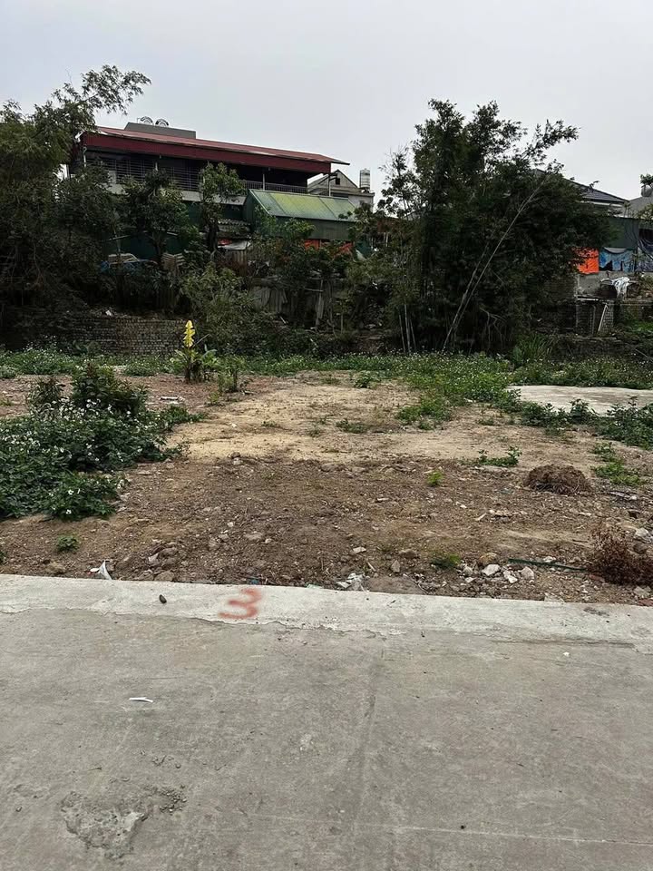 Đất Trưng Vương - Khu dân cư sầm uất, giá chỉ nhỉnh 800 triệu