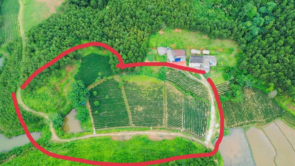 Bán đất nghỉ dưỡng 5000m2, mặt tiền 200m, gần trung tâm hành chính xã Phú Lương, Thái Nguyên