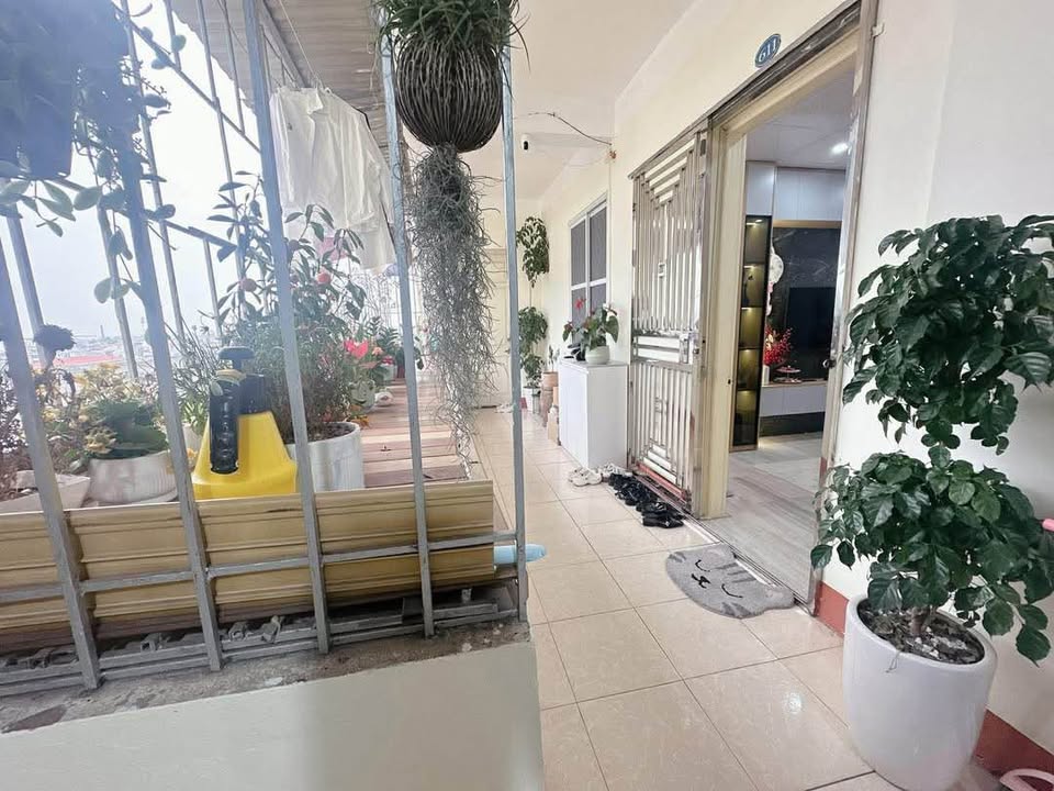 Bán chung cư B8 - Thanh Miếu, Vĩnh Phúc, 42m2, ban công thoáng mát