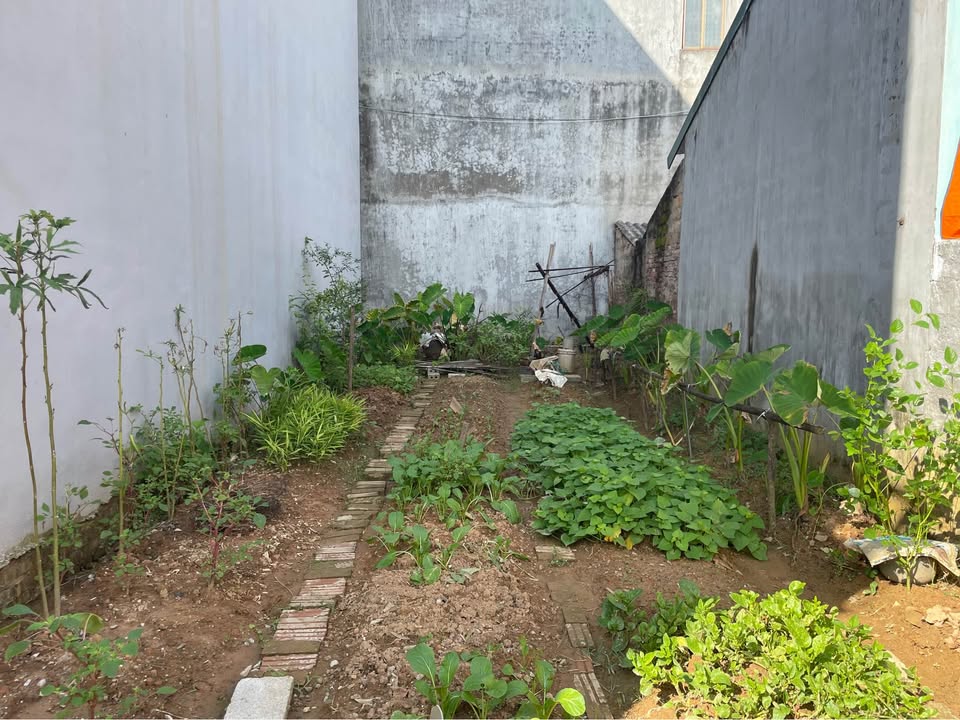 Chính chủ cần bán lô đất vuông vắn, nở hậu với diện tích 77m² tại ngõ 22 đường Chu Văn An