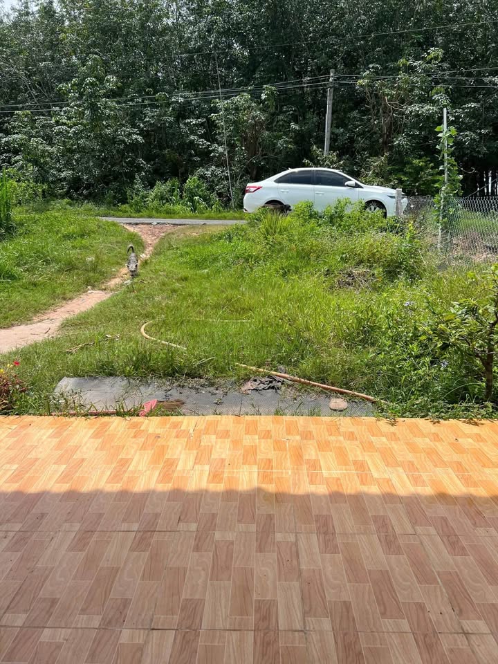 Nhà 6x29m, thổ cư hết đất, giá chỉ 450 triệu - Cơ hội vàng sở hữu đất Tây Ninh