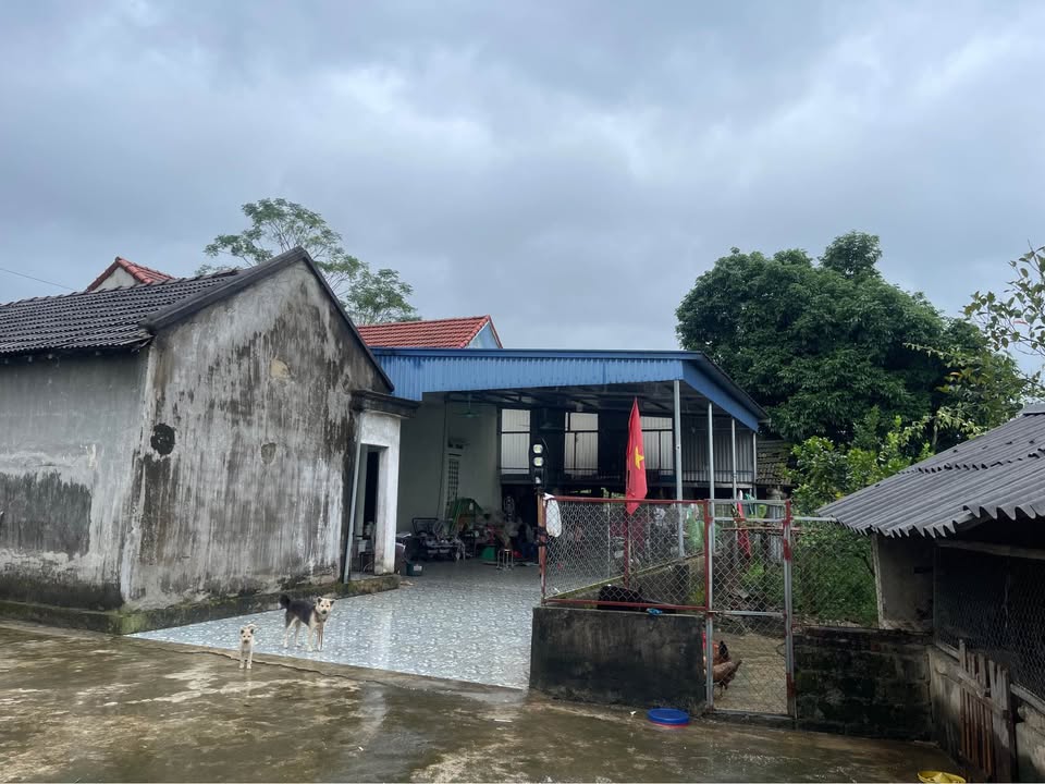 Bán nhà vườn 5000m2 dưới chân núi Tam Đảo, tiềm năng làm homestay