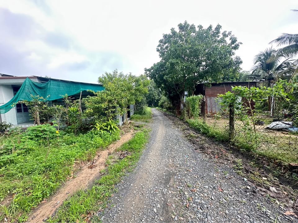 Đất Trảng Bàng 346m2, mặt tiền 10m, giá 1,1 tỷ, ô tô chạy vèo vèo