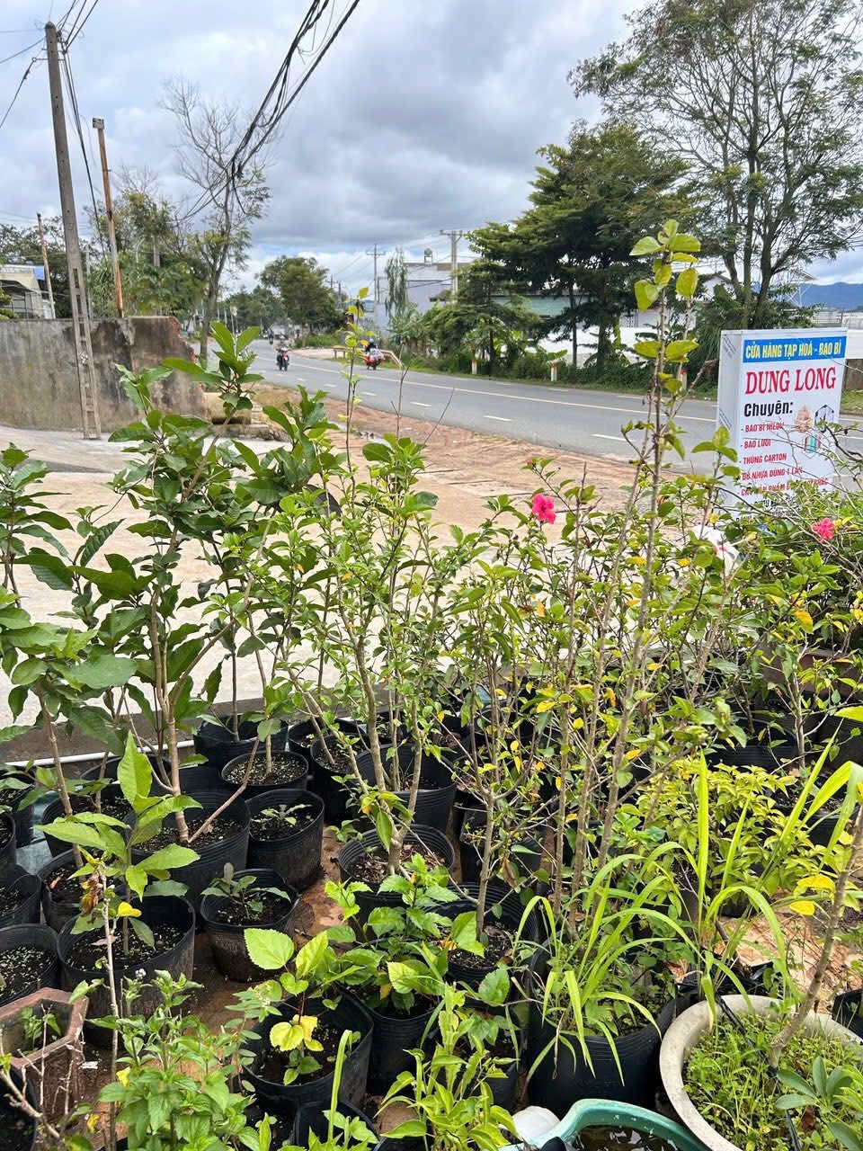 Bán đất nền mặt tiền Quốc lộ 27, Đơn Dương, Lâm Đồng - 500 triệu/m ngang